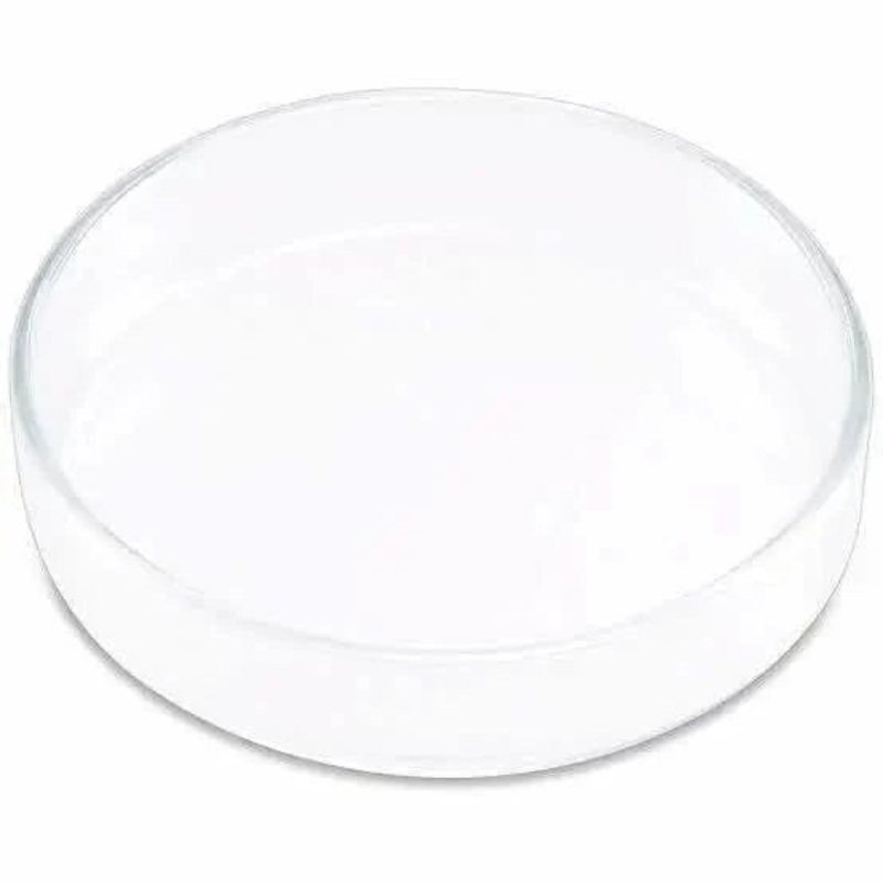 Shrimp Feeding Dish 9CM L(FR5)