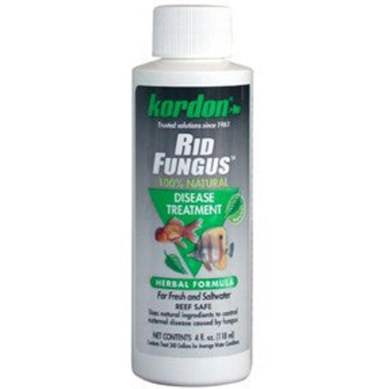 Kordon Rid Fungus