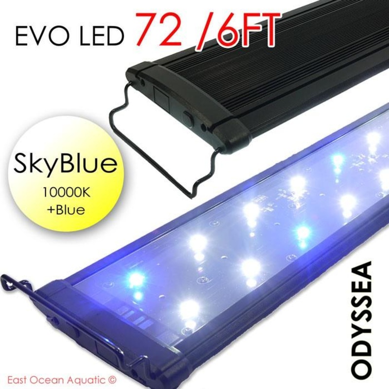 ODYSSEA EVO Led 72″ 156W Skyblue (10000K+blue)