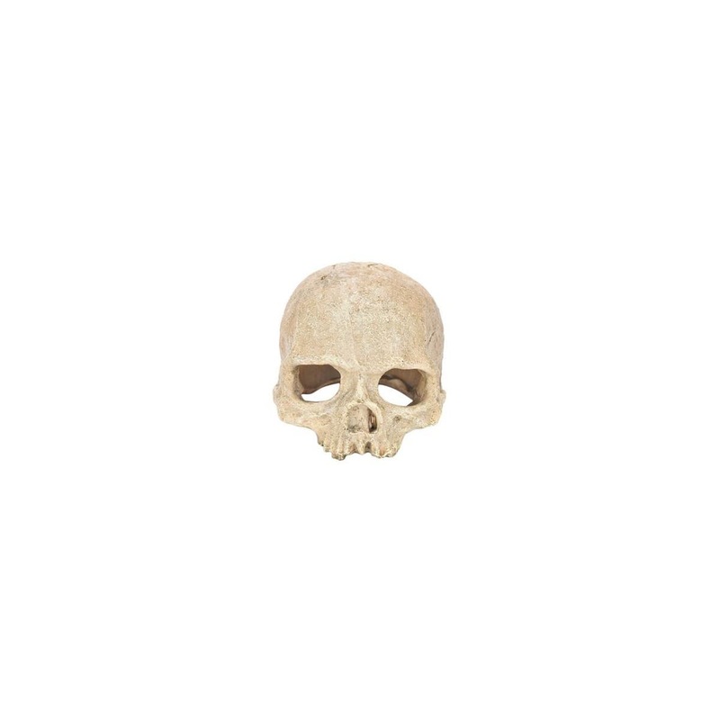 Petworx Skull Ornament – 15cm