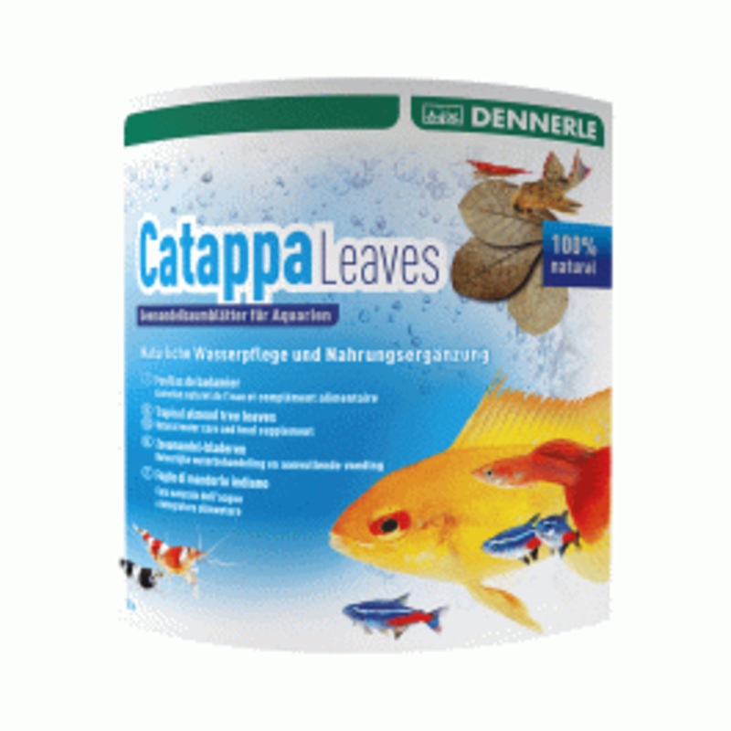 Dennerle Catappa Leaves