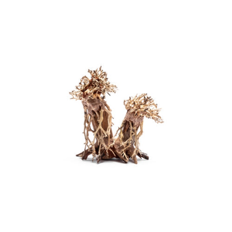 Double Bonsai Aquarium Driftwood – M073 M073