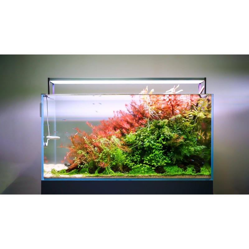 TWINSTAR III S Series LED Light (High-Range Tier)