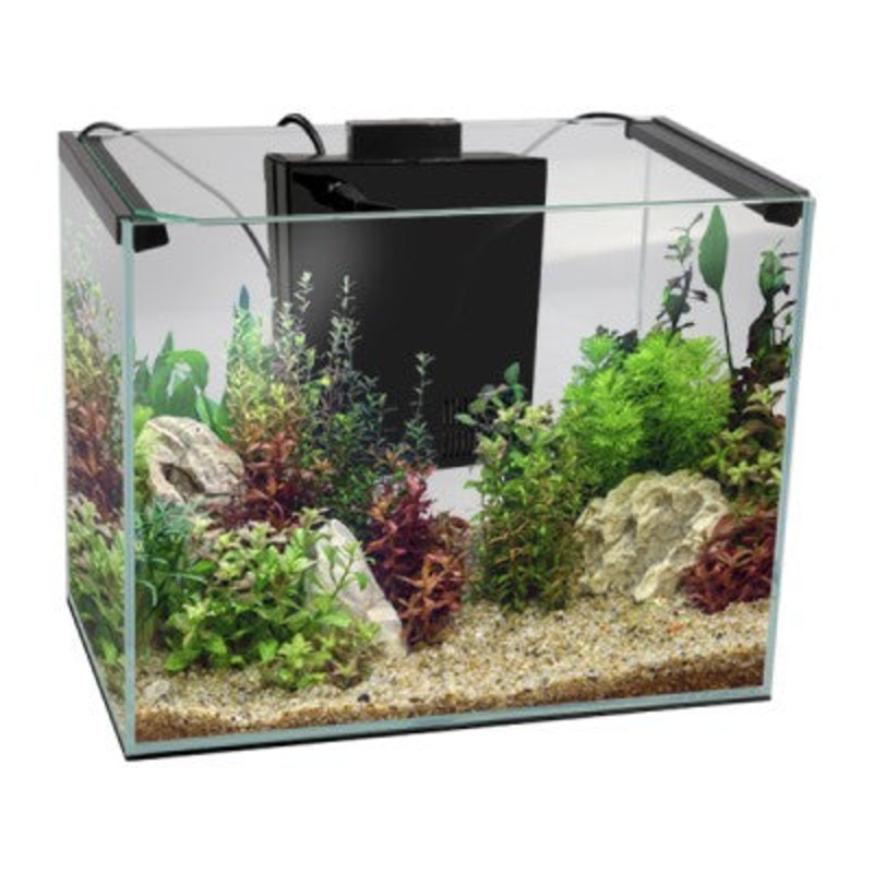 Aqua One AquaLume 23L Glass Aquarium