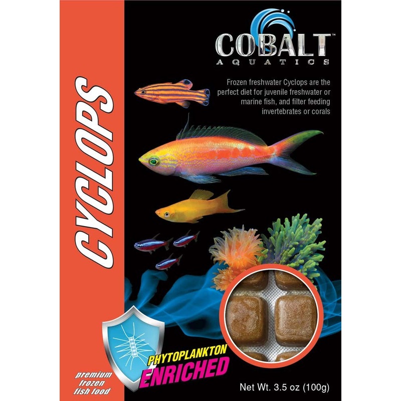 Cobalt Frozen Cyclops Cubes