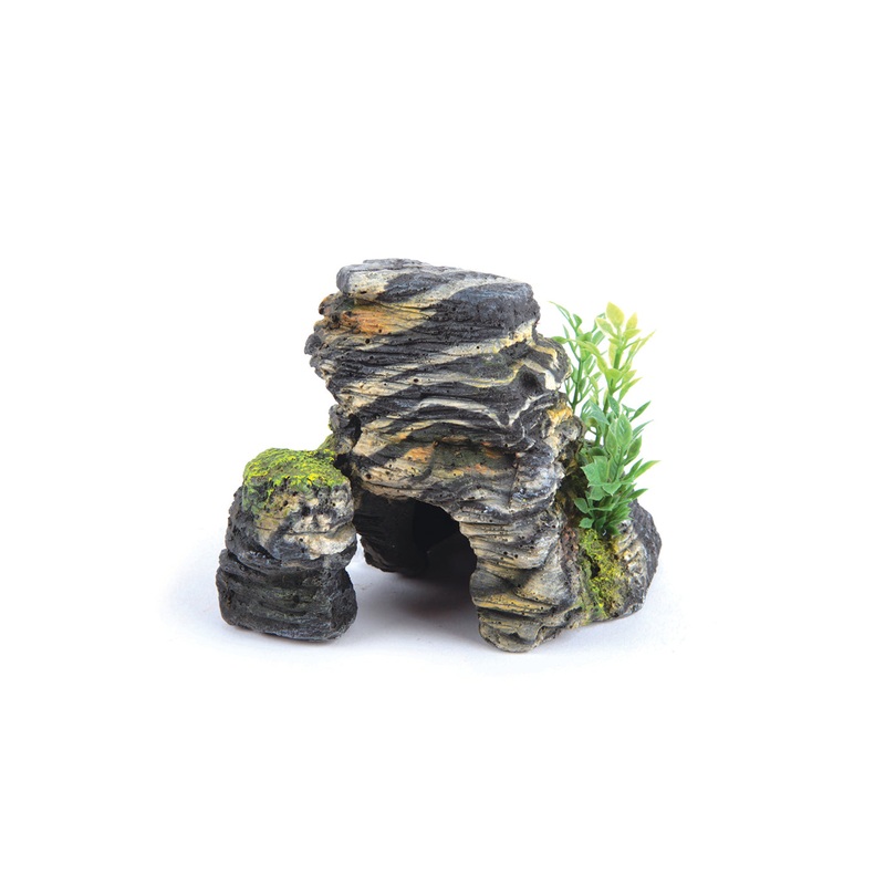 Kazoo Granite Rock With Plant