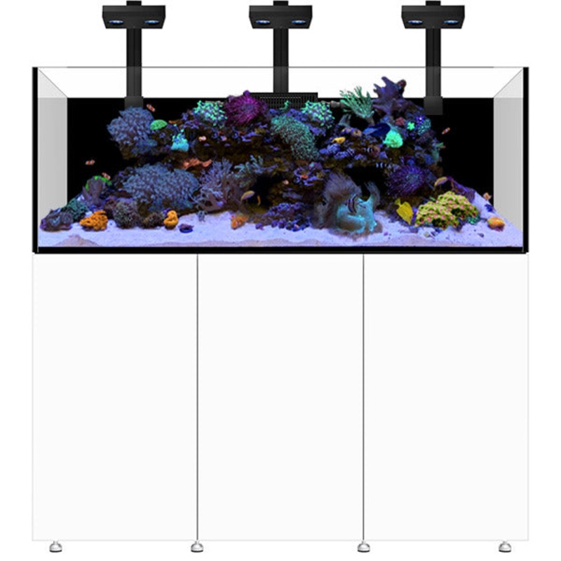 Infinia Reef 190.5 Blanc WATERBOX – Aquarium Rcifal 517 L