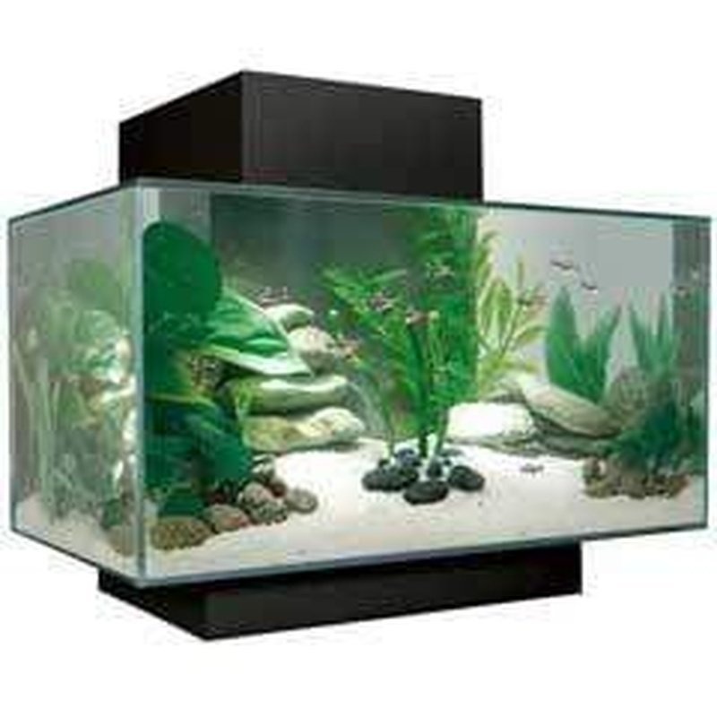 Fluval EDGE 2.0 LED Aquarium Black 23L
