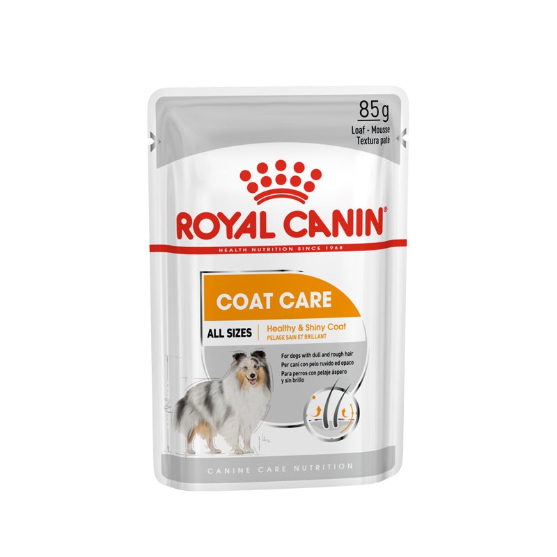 Royal Canin Coat Care Wet Dog Food Pouch 85g