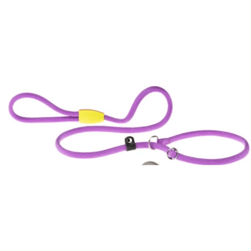 Sport GC13/170 Purple Leash