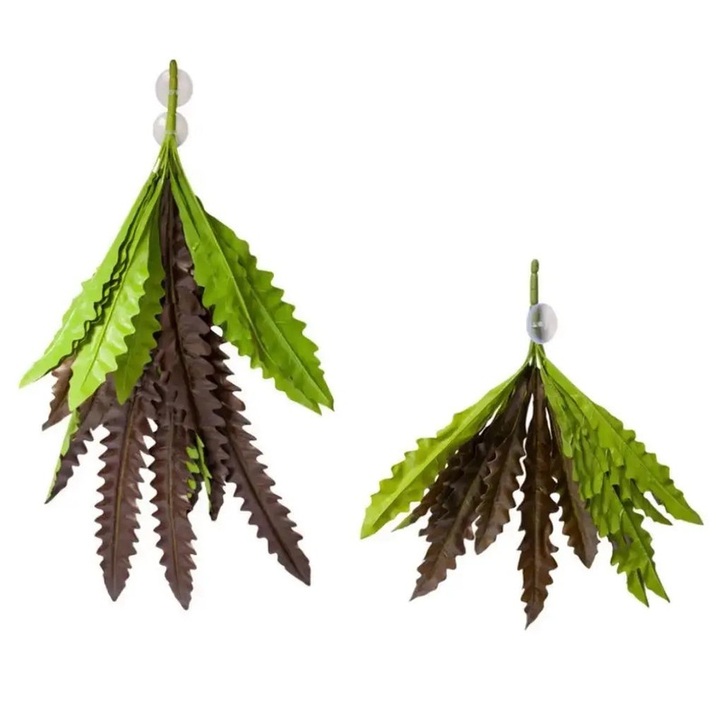 Reptile One Hanging Plant Birds Nest Fern Green 40cm