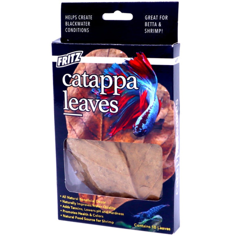Fritz: Catappa Leaves – 10 Pack
