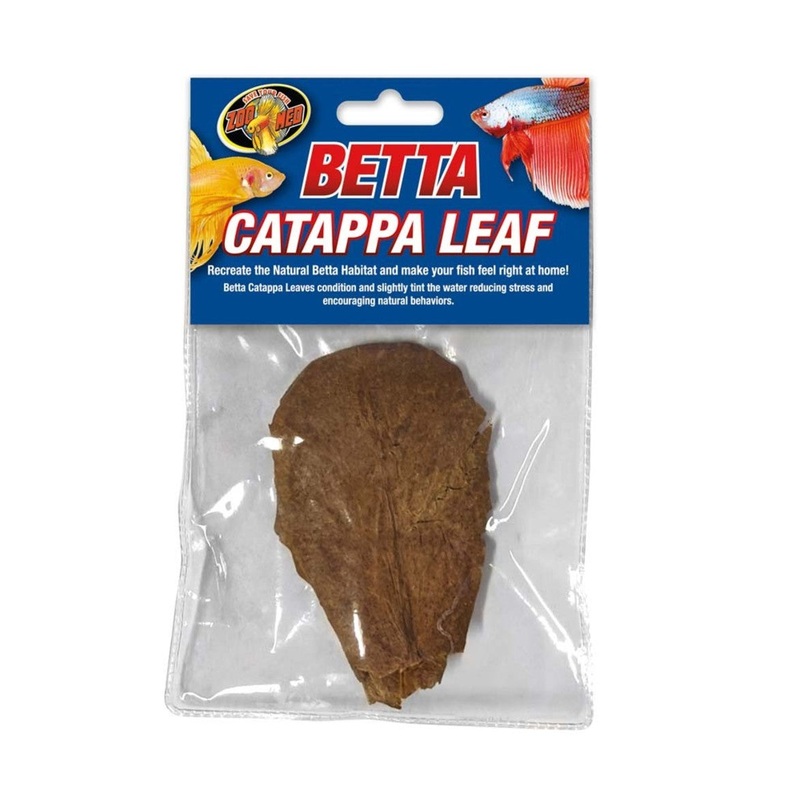 Zoo Med Betta Catappa Leaf