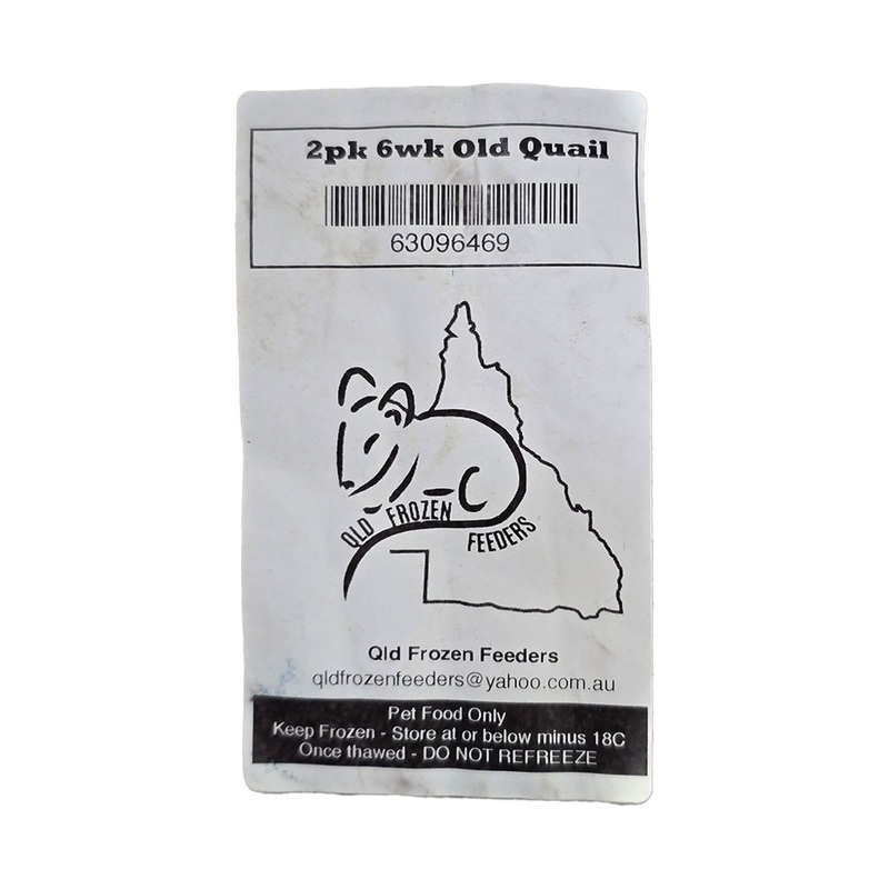 Frozen Feeder Quail – 6 Weeks Old – 2 Pack – Frozen Food – In store Pick Up Only