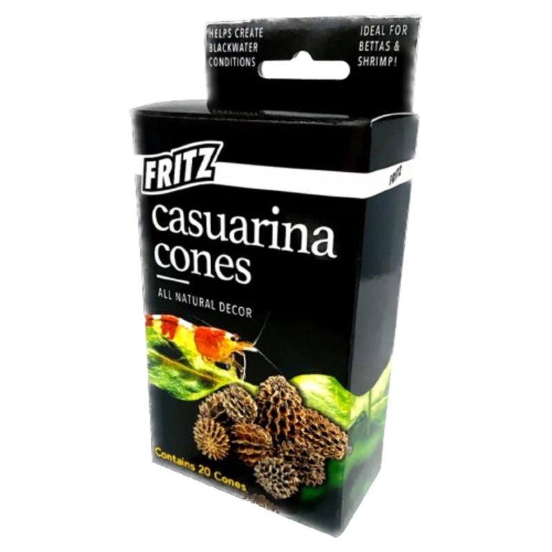 Fritz: Casuarina Cones