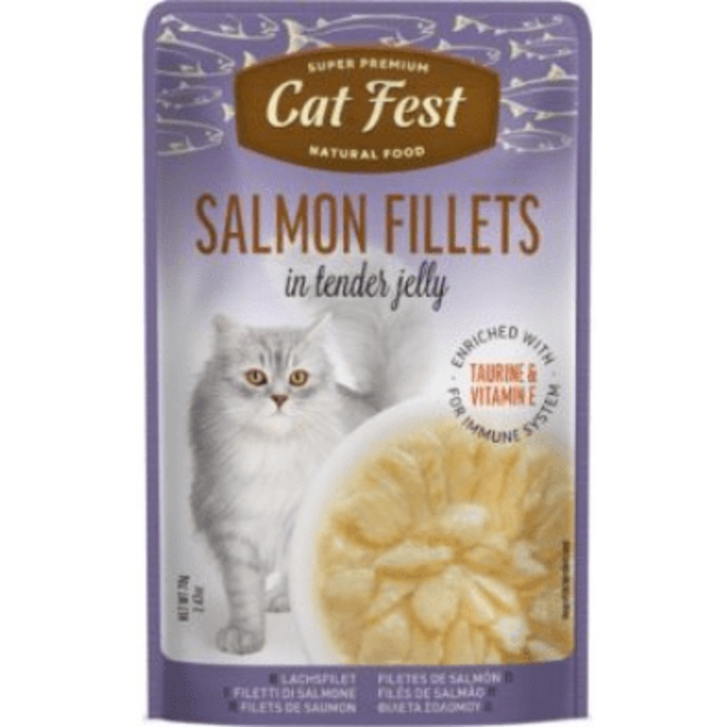 Cat Fest Salmon Fillets in Jelly 70gr