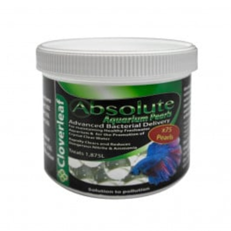 Cloverleaf Absolute Pearls – Aquarium