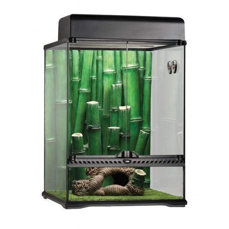 Exo Terra Bamboo Forest Terrarium Kit Small 30 x 30 x 45 cm