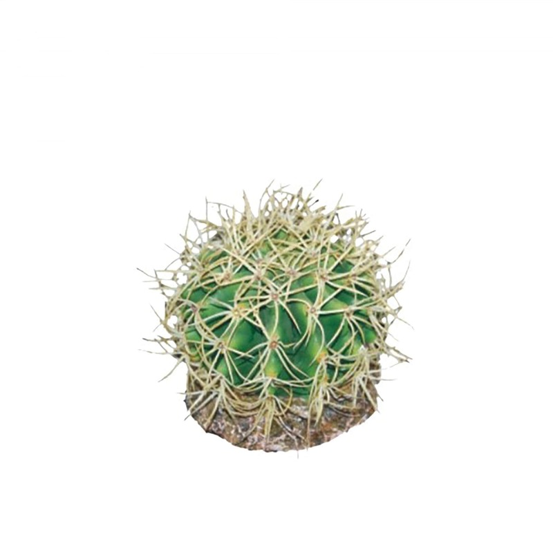 Eco Tech Pineapple Cactus 10cm – Artificial Plant