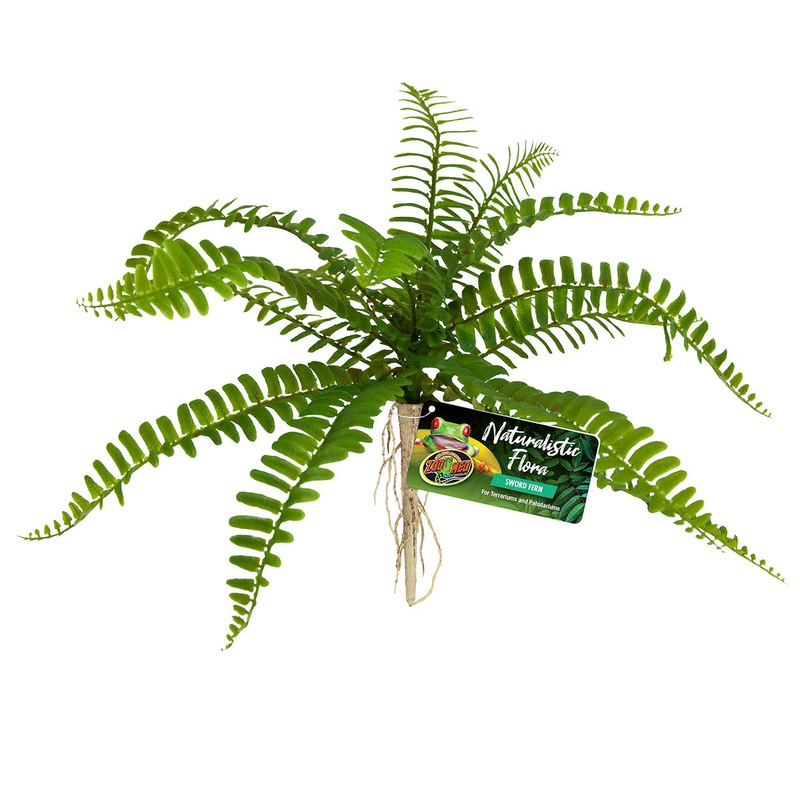 Zoo Med Naturalistic Flora Sword Fern
