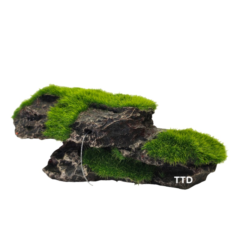 Aquatopia Flat Rock with Moss Ornament