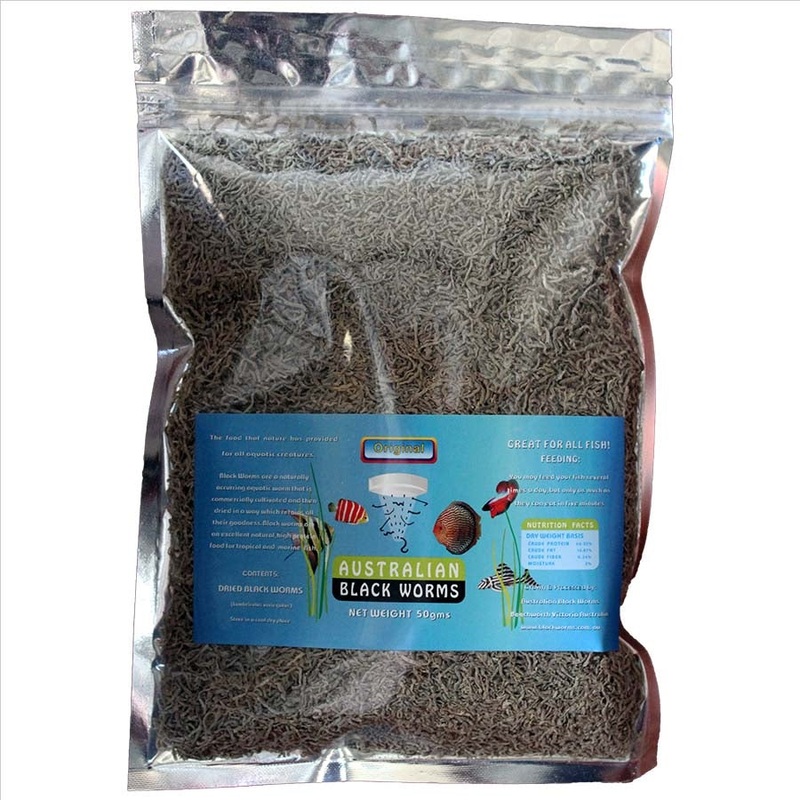 Australian Black Worms 50g Loose – Freeze Dried