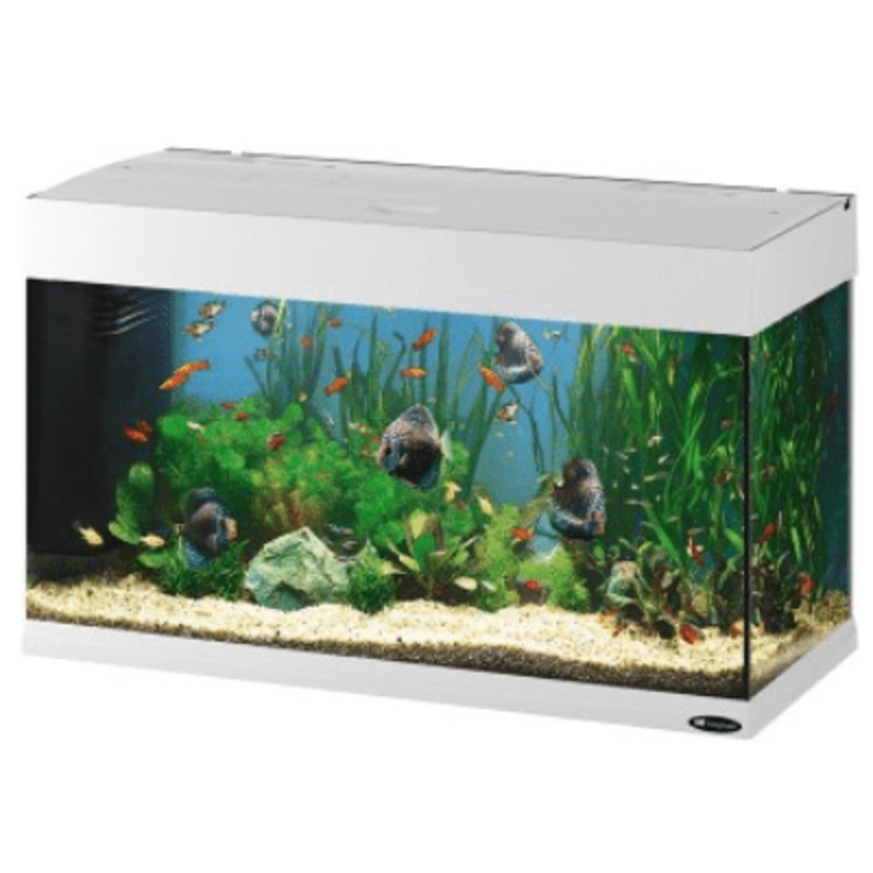 Dubai 80 Aquarium White T5