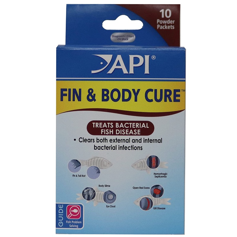 API – FIN & Body Cure