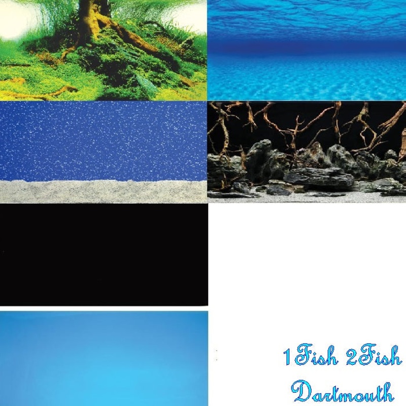 Underwater Treasures Aquarium Backgrounds – Per ft