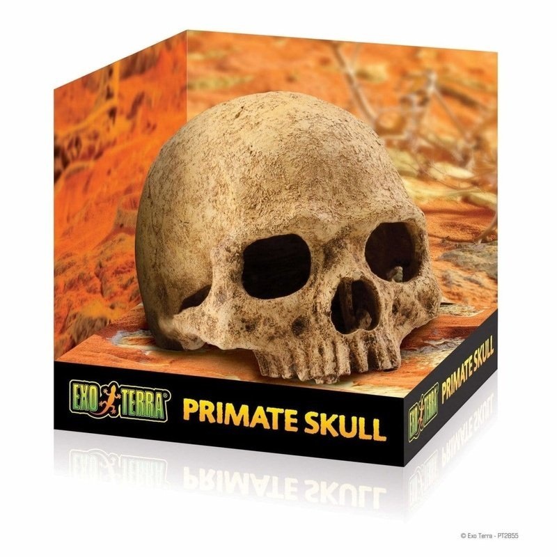 Exo Terra Primate Skull Hiding Place Large