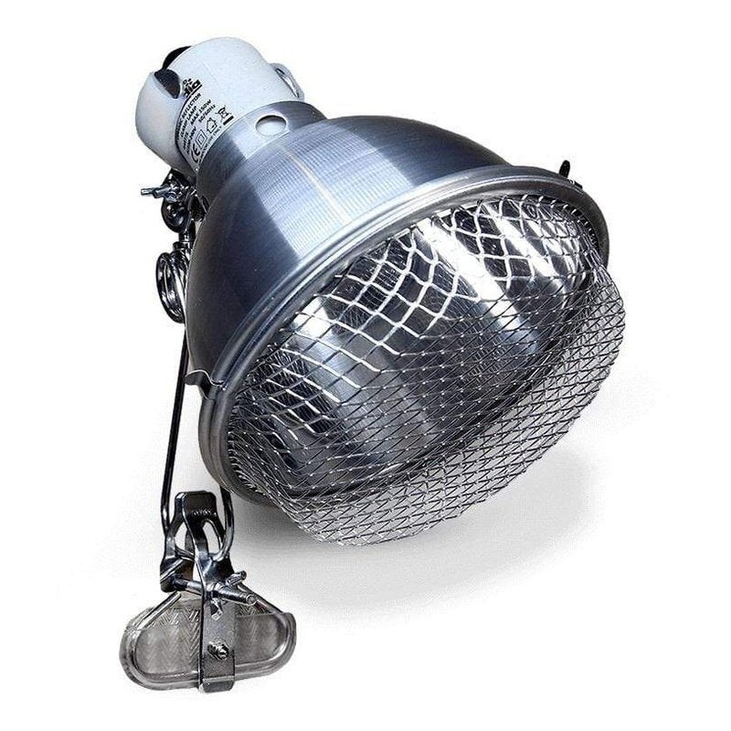 Arcadia Clamp Lamp & E27 Lampholder – Stainless