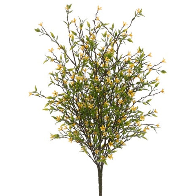 20″ Wild Starflower Bush Yellow
