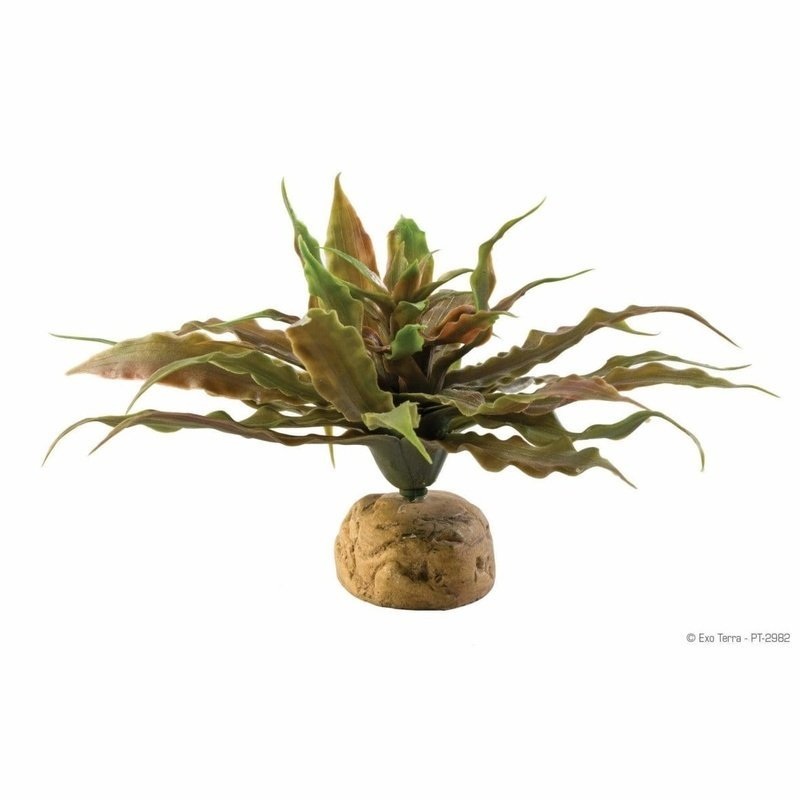 Exo Terra Desert Ground Plant Star Cactus