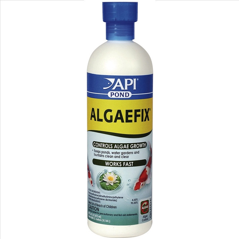 API Pond Algaefix 473ml – Algae Control