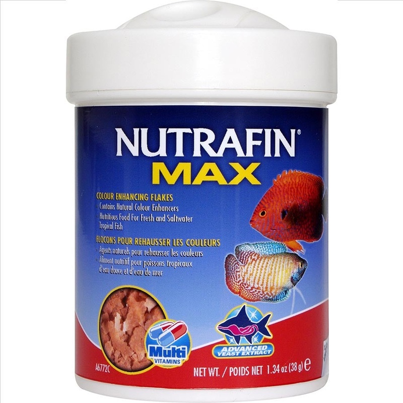 Nutrafin Max Tropical Colour Enhance Flakes – 38g