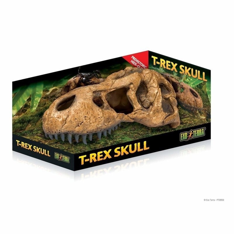 Exo Terra T-Rex Skull Hide-Out Large