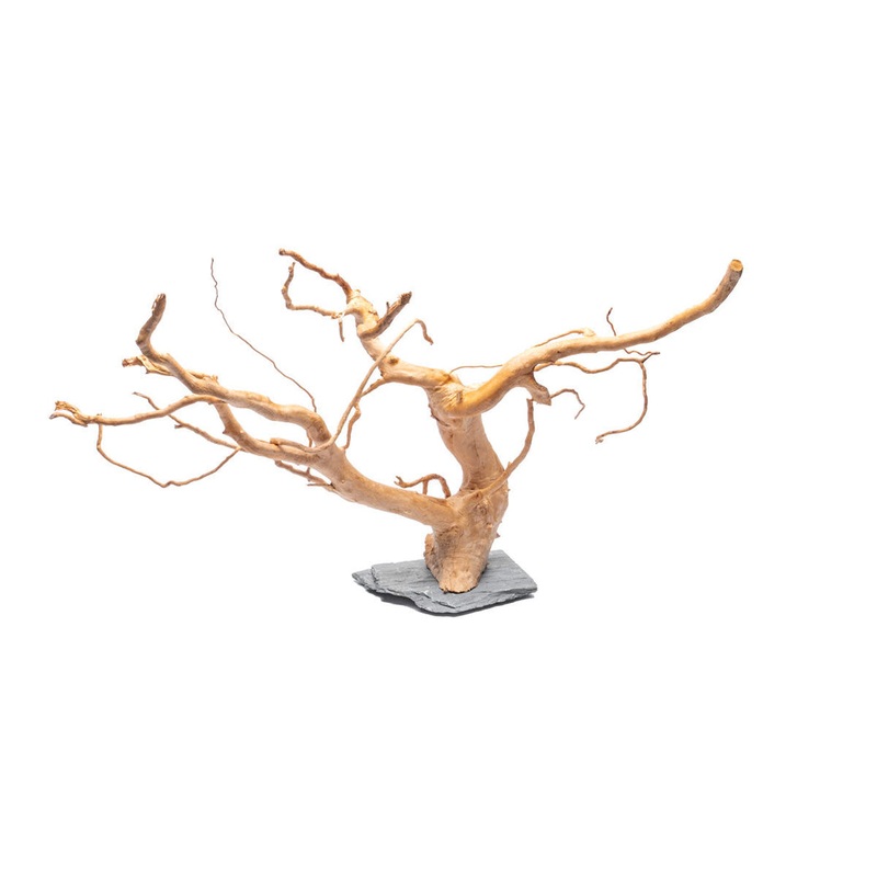 UT: Spider Wood on Slate