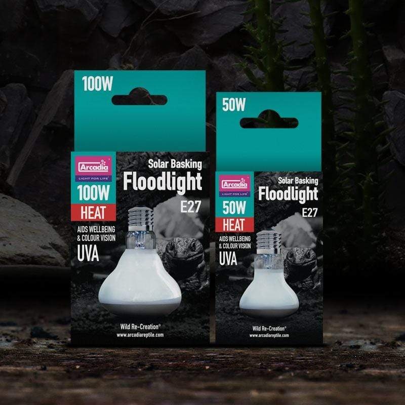 Arcadia Solar Basking Floodlight