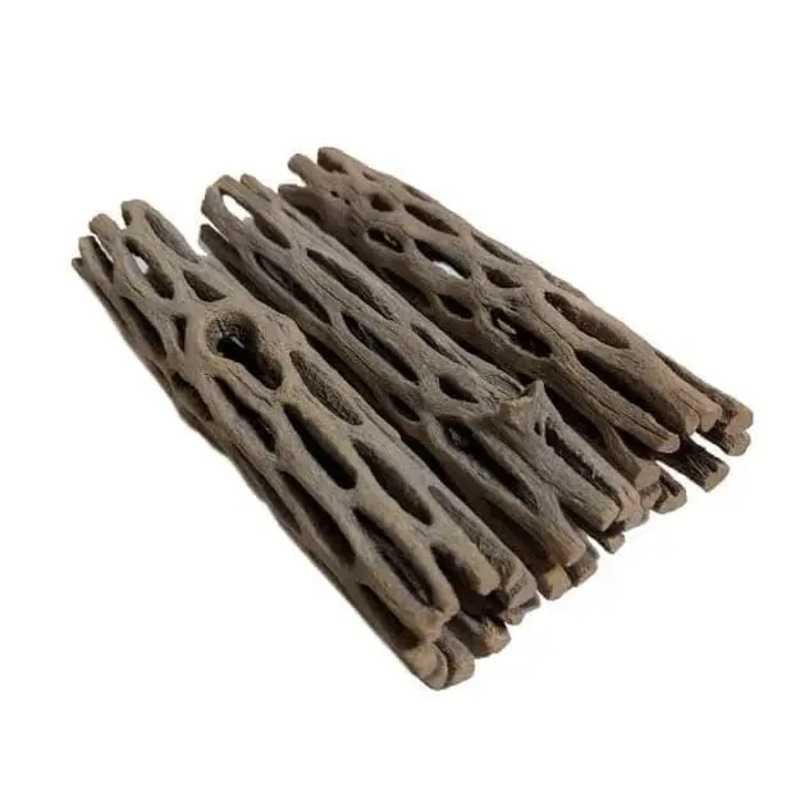 5x Cholla Wood for shrimp tank 12CM-15CM
