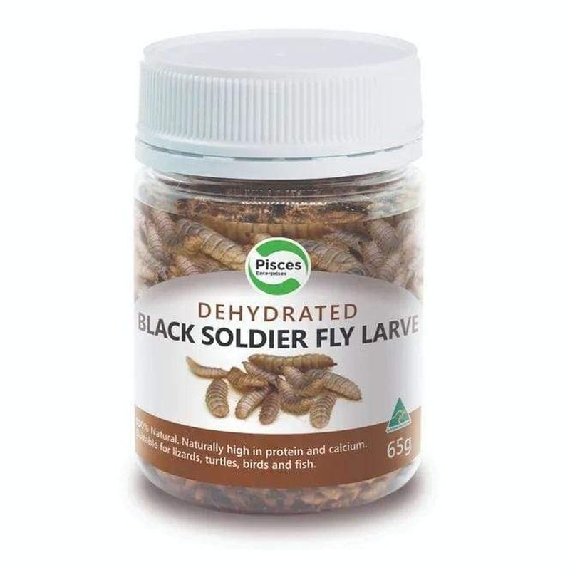 Pisces Dehydrated Black Soldier Fly Larvae 40g