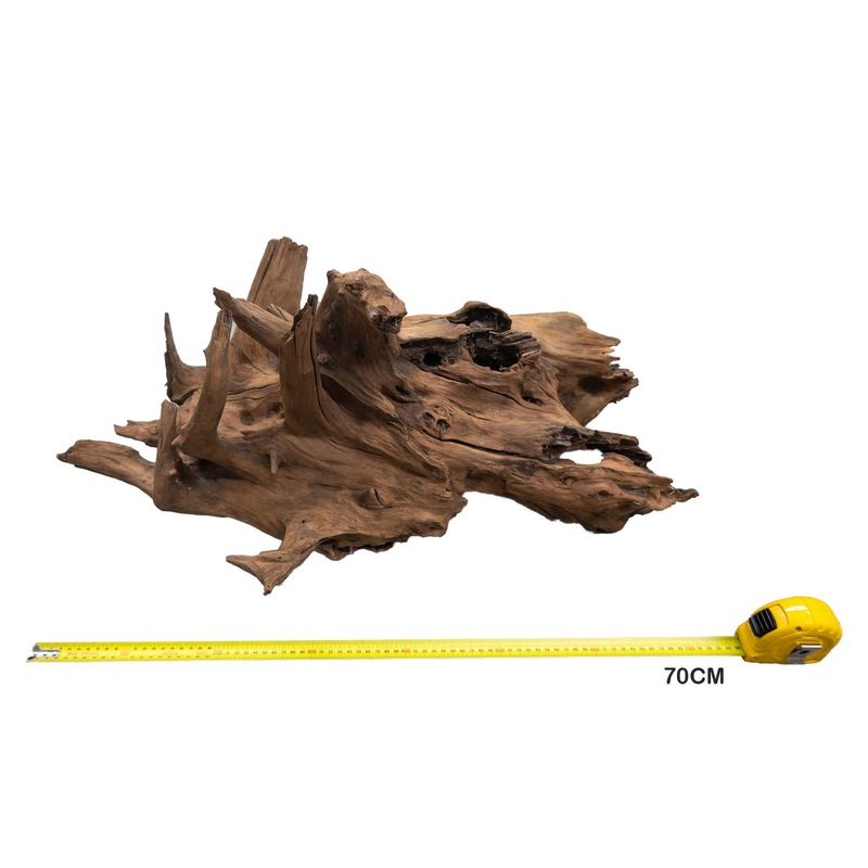 Aqua Natural Wizard Driftwood XXL 70cm – Instore Pick Up Only
