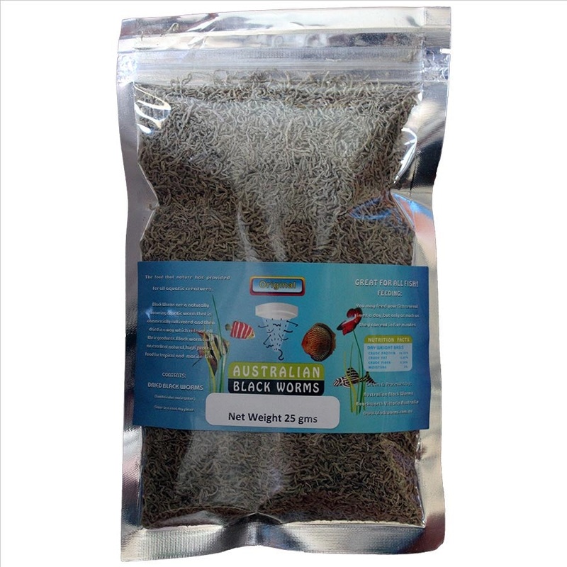 Australian Black Worms 25g Loose – Freeze Dried