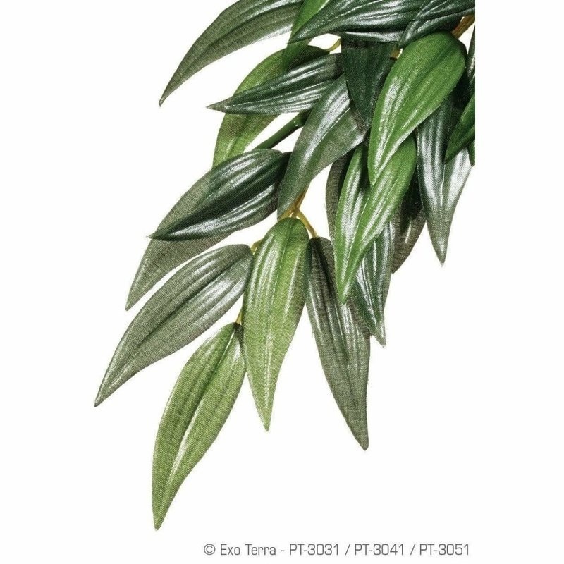 Exo Terra Hanging Forest Plants Ruscus (Silk)