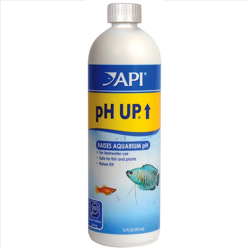 API Ph Up Professional Size – 473ml