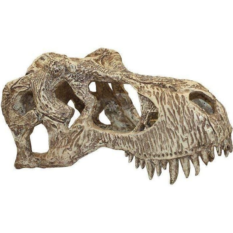 Komodo T-Rex Skull 17 x 8 x 9cm