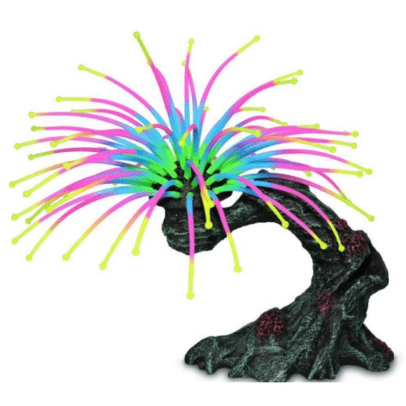Worm Feather Duster Aquarium Decor 12×6.5x10cm
