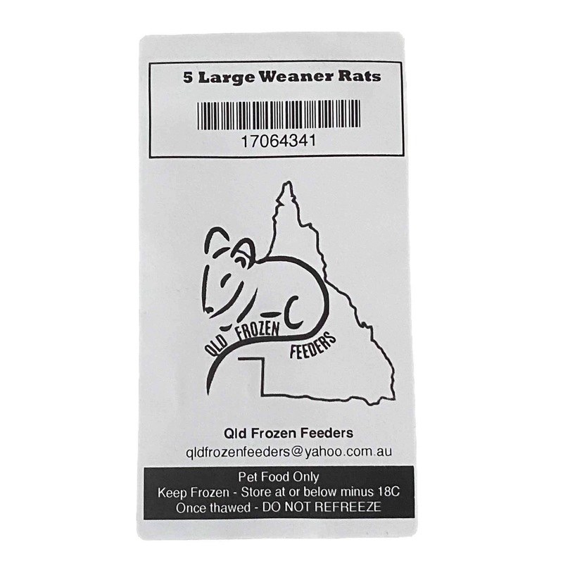 Frozen Feeder Rat – Large Weaner – 5 Pack – Frozen Food – In store Pick Up Only