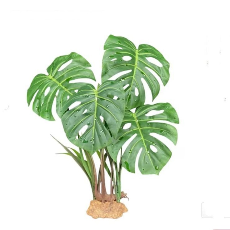 Komodo Plastic Terrarium Plant – Monstera