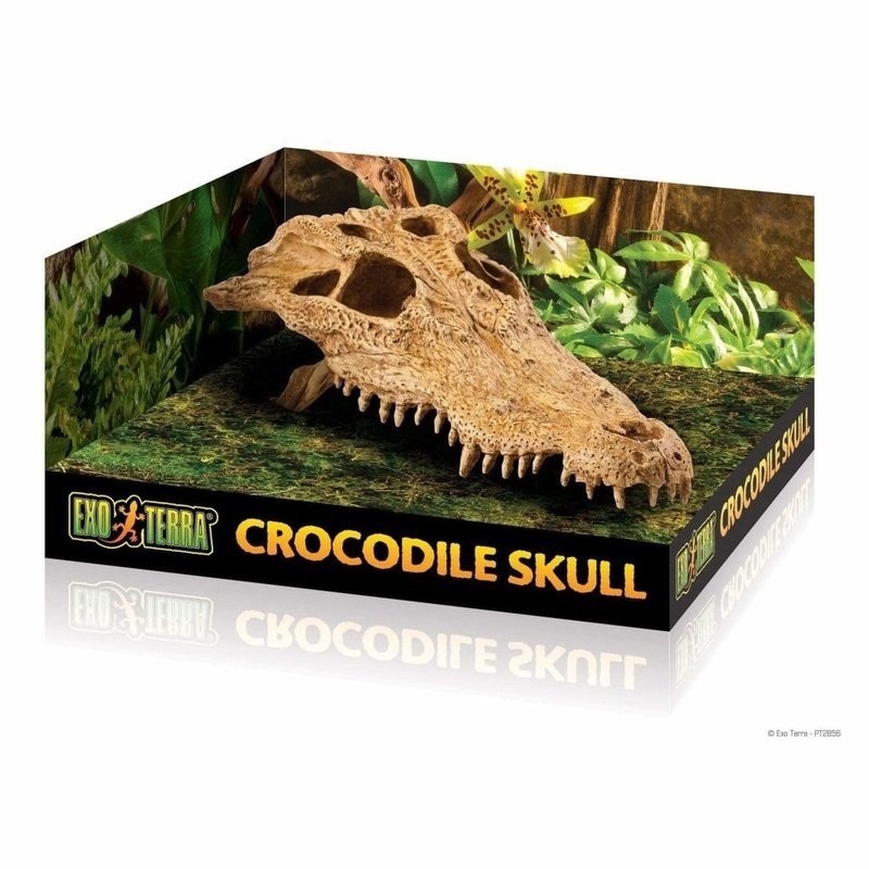 Exo Terra Crocodile Skull Hiding Place
