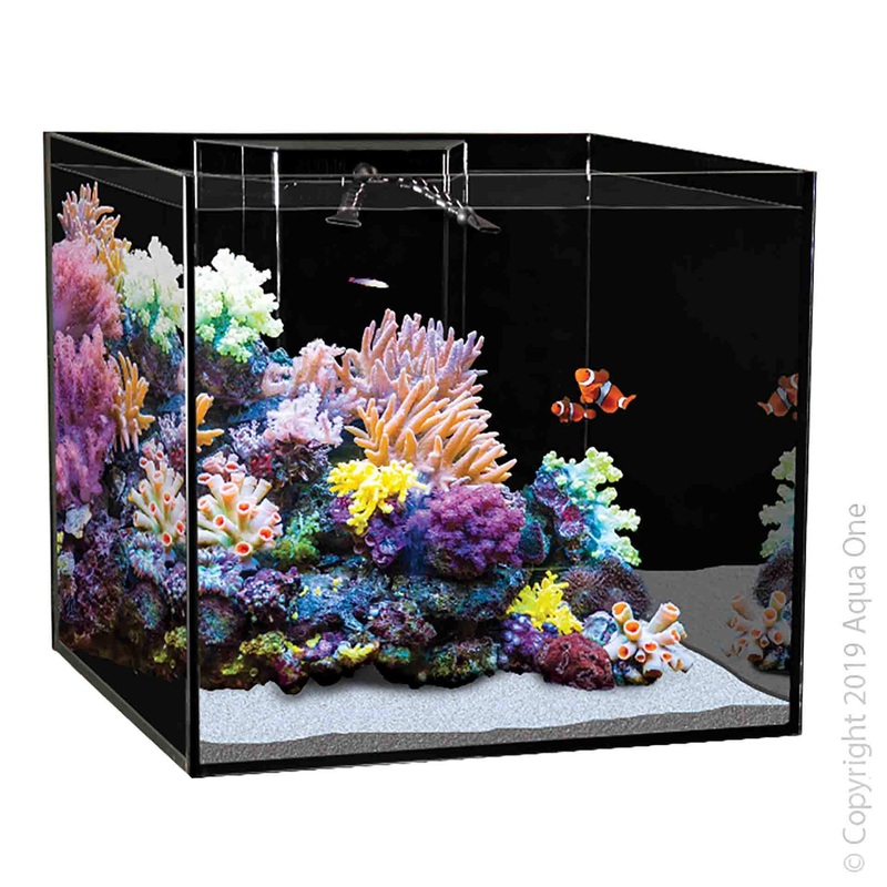 Aqua One Reefsys 255 Tank Only – Instore Pick Up Only